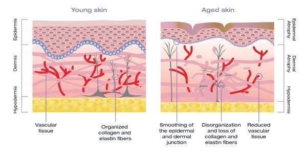 Breakthrough Products, Alastin Skincare img 1